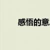 感悟的意思（怎么理解感悟的意思）