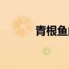 青根鱼的做法（怎样做青根鱼）