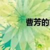 曹芳的简介（关于曹芳的简介）