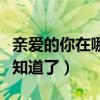 亲爱的你在哪里媛媛最后找到了吗（看完你就知道了）