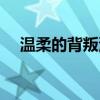 温柔的背叛演员表（讲述的是什么故事）