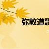 弥敦道歌词（弥敦道歌词是什么）