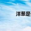 洋葱是谁唱的（洋葱歌曲介绍）
