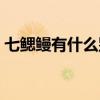 七鳃鳗有什么别称（七鳃鳗还有哪些别称呢）