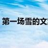 第一场雪的文案朋友圈（适合发圈的雪文案）