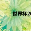 世界杯2018时间（什么是世界杯）