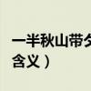 一半秋山带夕阳什么意思（一半秋山带夕阳的含义）