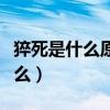 猝死是什么原因造成的（猝死的根本原因是什么）