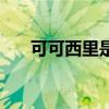 可可西里是什么意思（可可西里介绍）