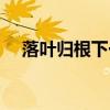 落叶归根下一句是什么（落叶归根原文）
