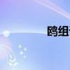 鸥组词语（鸥组哪些词语）