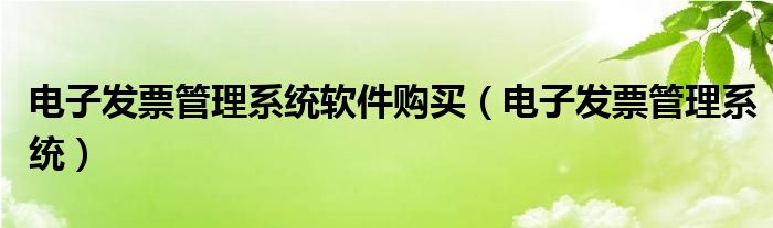 电子发票管理系统软件购买（电子发票管理系统）