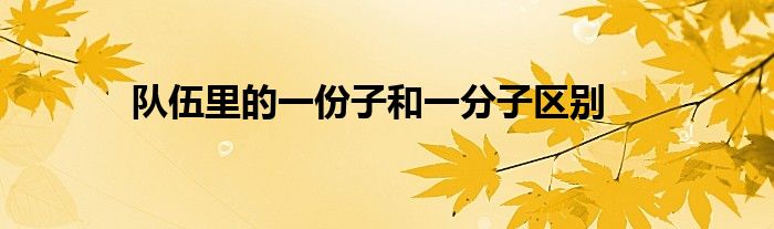 队伍里的一份子和一分子区别