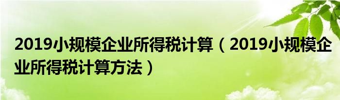 2019小规模企业所得税计算（2019小规模企业所得税计算方法）