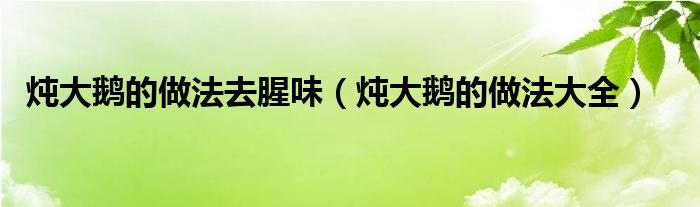 炖大鹅的做法去腥味（炖大鹅的做法大全）