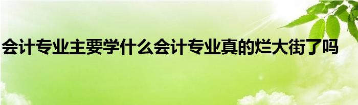 会计专业主要学什么会计专业真的烂大街了吗