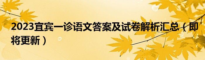 2023宜宾一诊语文答案及试卷解析汇总（即将更新）