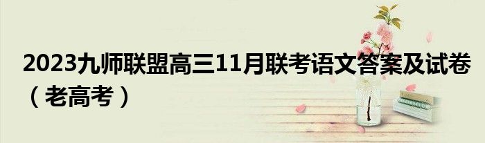 2023九师联盟高三11月联考语文答案及试卷（老高考）