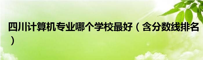 四川计算机专业哪个学校最好（含分数线排名）