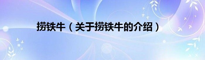 捞铁牛（关于捞铁牛的介绍）