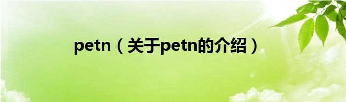 petn（关于petn的介绍）