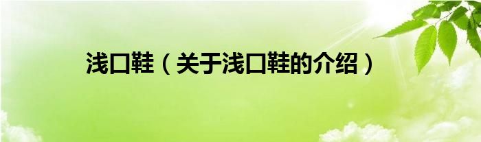 浅口鞋（关于浅口鞋的介绍）