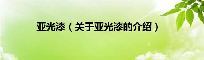 亚光漆（关于亚光漆的介绍）