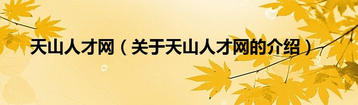 天山人才网（关于天山人才网的介绍）