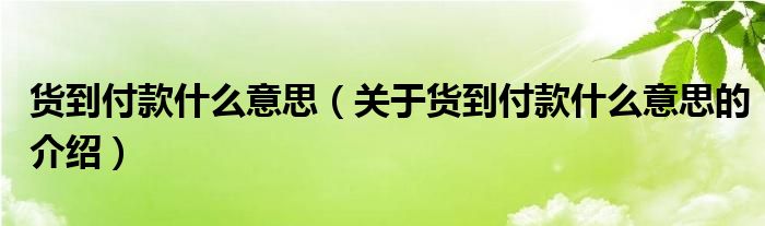 货到付款什么意思（关于货到付款什么意思的介绍）