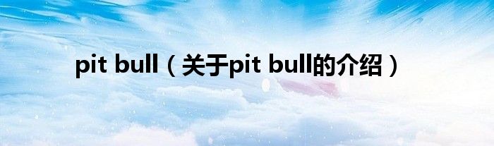 pit bull（关于pit bull的介绍）