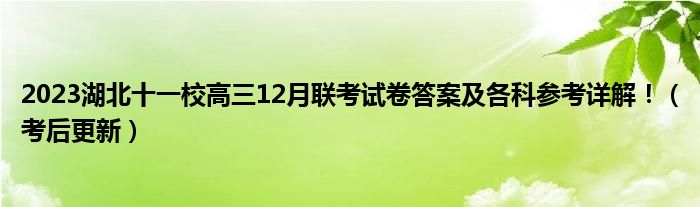 2023湖北十一校高三12月联考试卷答案及各科参考详解！（考后更新）