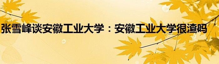 张雪峰谈安徽工业大学：安徽工业大学很渣吗