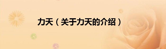 力天（关于力天的介绍）