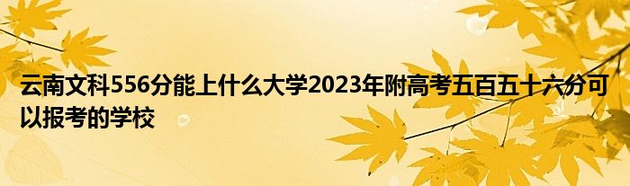 云南文科556分能上什么大学2023年附高考五百五十六分可以报考的学校