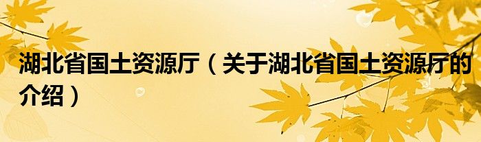 湖北省国土资源厅（关于湖北省国土资源厅的介绍）