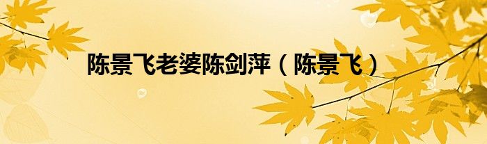 陈景飞老婆陈剑萍（陈景飞）