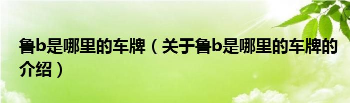 鲁b是哪里的车牌（关于鲁b是哪里的车牌的介绍）