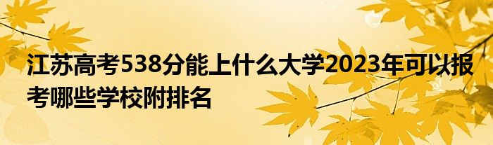 江苏高考538分能上什么大学2023年可以报考哪些学校附排名
