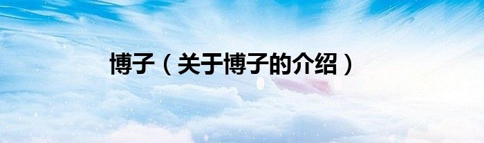 博子（关于博子的介绍）