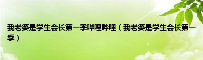 我老婆是学生会长第一季哔哩哔哩（我老婆是学生会长第一季）