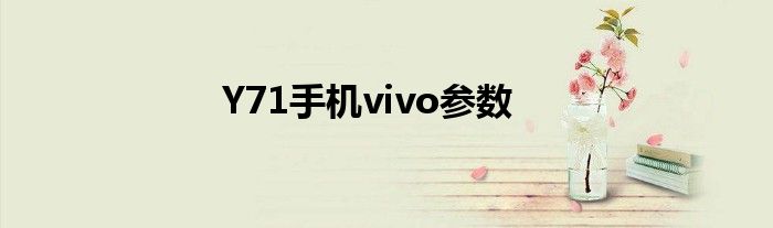 Y71手机vivo参数