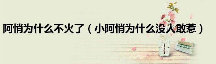 阿悄为什么不火了（小阿悄为什么没人敢惹）