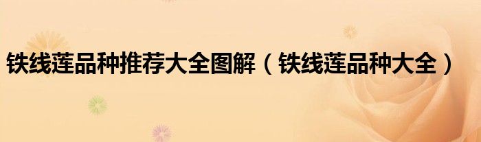 铁线莲品种推荐大全图解（铁线莲品种大全）