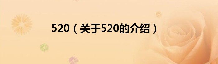520（关于520的介绍）