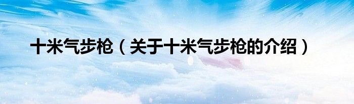 十米气步枪（关于十米气步枪的介绍）
