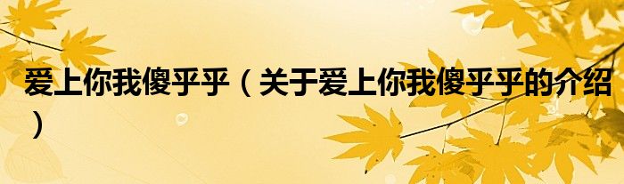 爱上你我傻乎乎（关于爱上你我傻乎乎的介绍）