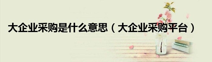 大企业采购是什么意思（大企业采购平台）
