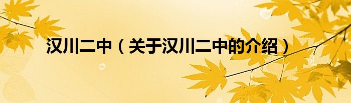 汉川二中（关于汉川二中的介绍）