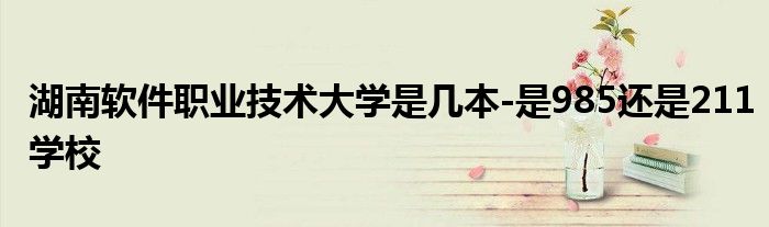 湖南软件职业技术大学是几本-是985还是211学校