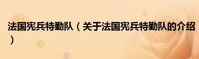 法国宪兵特勤队（关于法国宪兵特勤队的介绍）